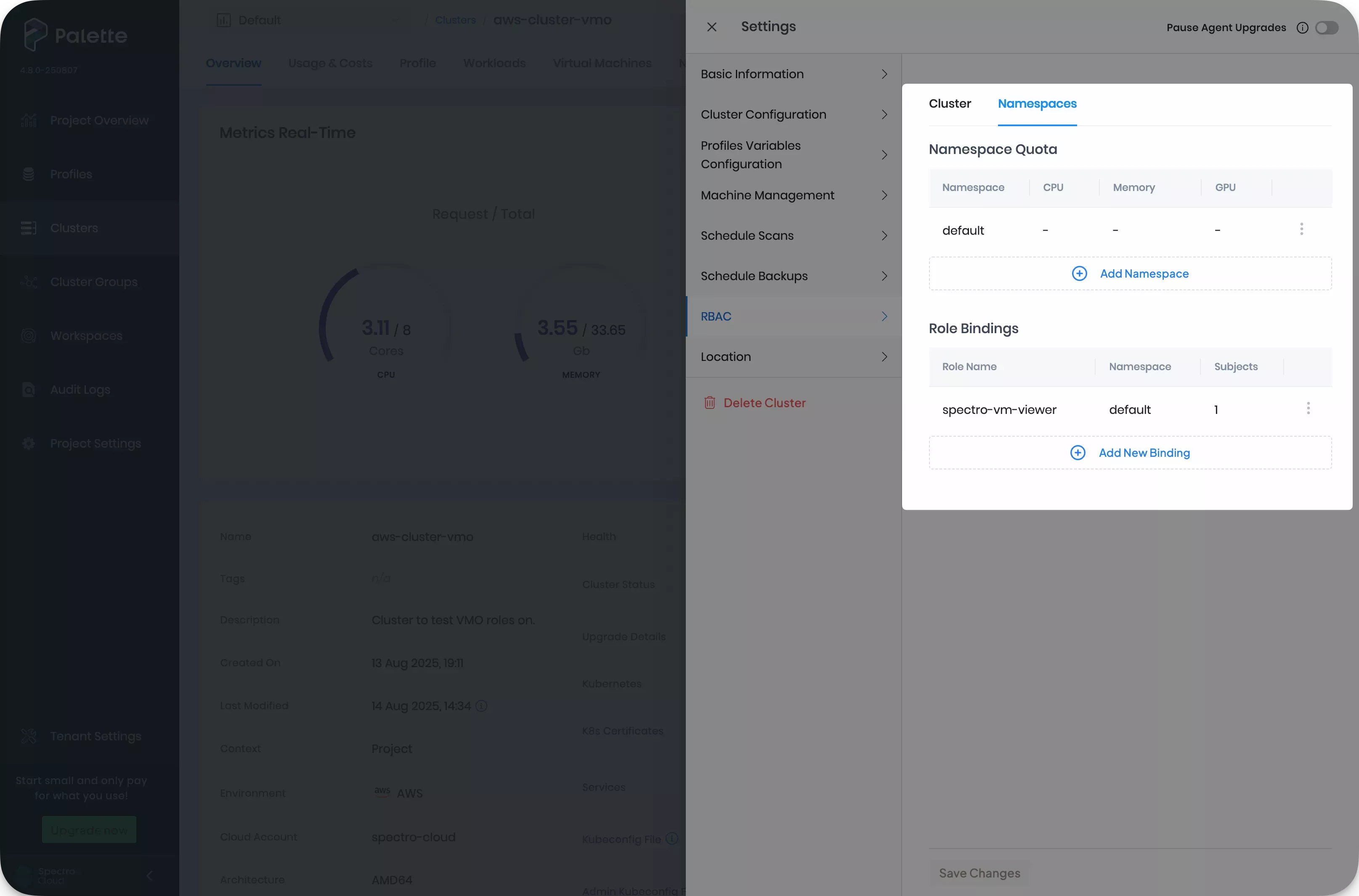 Cluster role binding